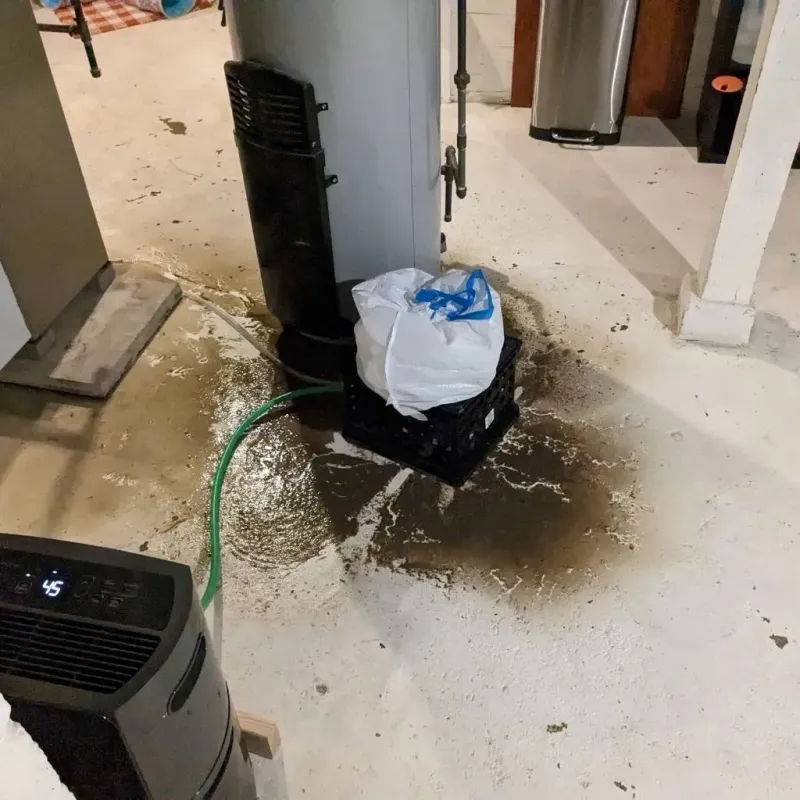 Sewage Backup Cleanup Service in Sardis, GA